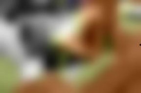 在线视频国产欧美